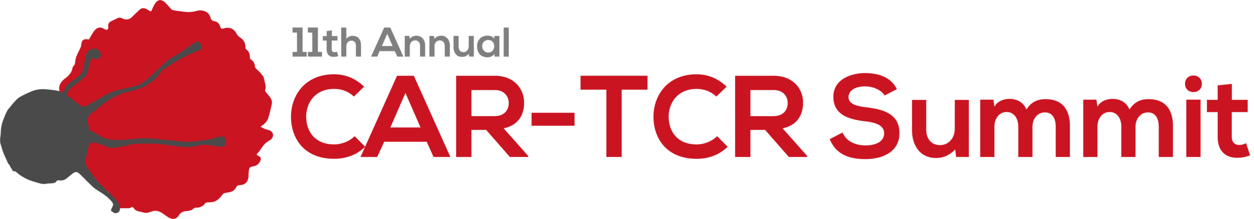 HW260120 62977 - 11th CAR-TCR Summit logo (2)