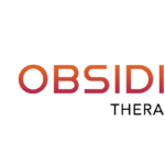 Obsidian