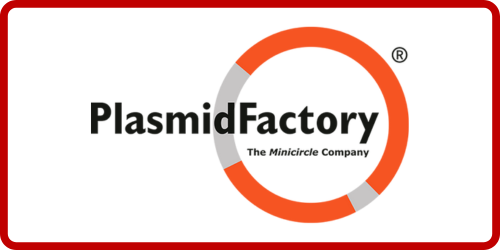 PlasmidFactory